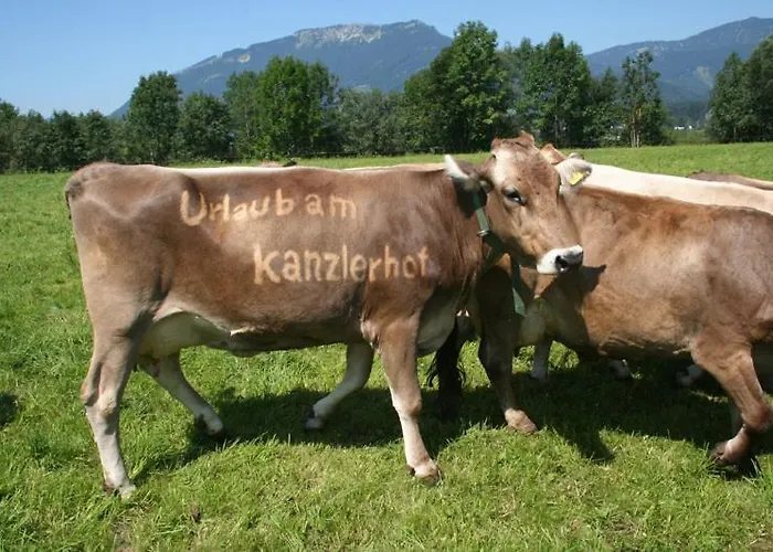 Kanzlerhof Apartment Bad Mitterndorf